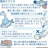 【人と社会と感染症　岡田教授のなるほど講座】（9）腸炎ビブリオ　夏に急…