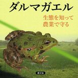 ダルマガエル、農業で守ろう　宇都宮大・守山准教授らが著書