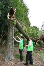 小山や真岡などで突風、大雨　住宅や建物 37棟被害、農業用ハウス損壊は…