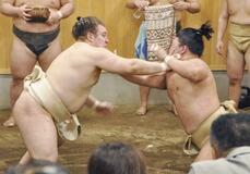 １１勝の壁越える 安青錦活躍誓う