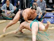 霧島４連勝、琴桜は２勝目