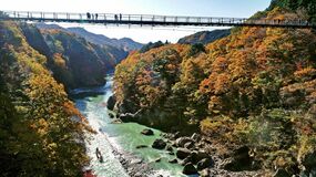 鬼怒川温泉街で紅葉見頃