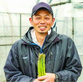 太く・甘く・みずみずしい、春を告げるアスパラガスJAかみつがの「アスパラガス」
