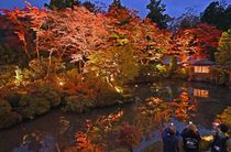 日光・逍遥園の紅葉見頃