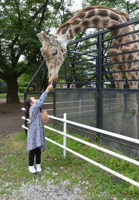 飼育員お手製のケーキの一部を来園者からもらう「ハツカ」