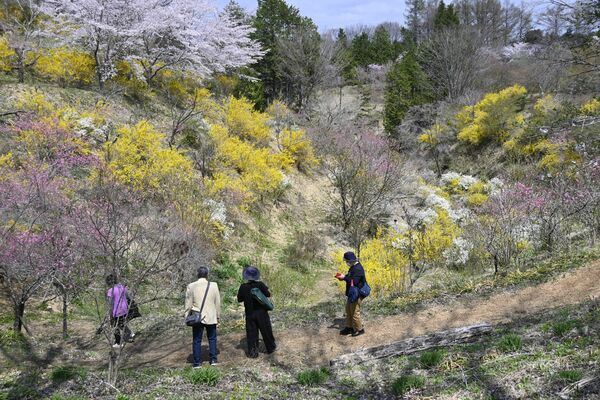 多くの花が咲き誇っている「花の谷」