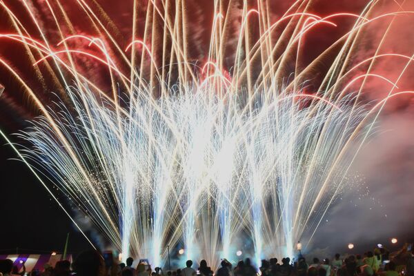 夜空を色鮮やかに彩った花火