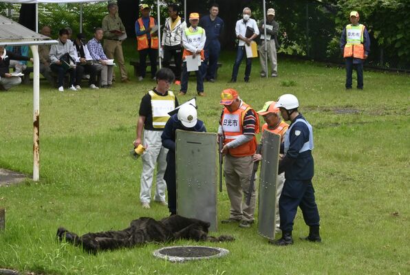 緊急銃猟後のクマの状態を確認する関係者