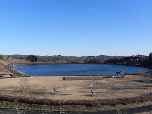 公園整備のきっかけとなった芳那の水晶湖