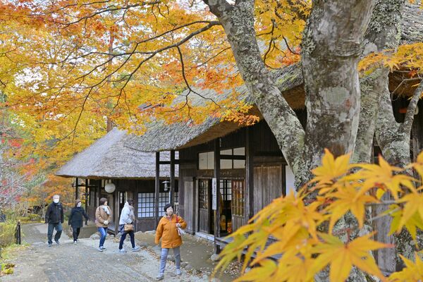 木々が色づいた平家の里＝７日午前11時35分、日光市湯西川温泉