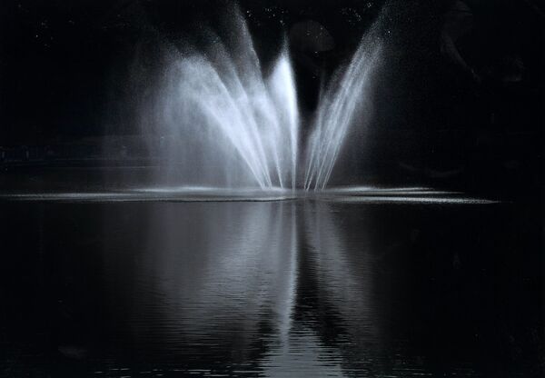 「羽ばたき」伊藤茂雄（上三川）