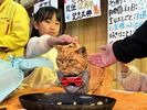 捨て猫だった「さんた」が園長就任12周年　宇都宮動物園でファンらお祝い