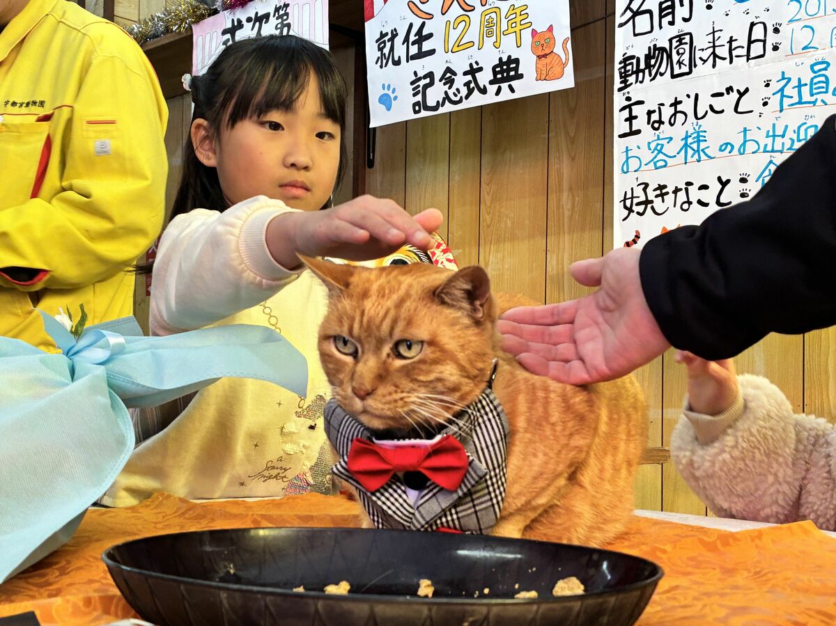 捨て猫だった「さんた」が園長就任12周年 宇都宮動物園でファンら