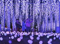 圧倒的な演出に感嘆の声　足利の日本三大イルミ今年も　あしフラに「光の花…