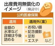 出産無償化に保険新枠組み創設へ