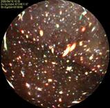 原子炉の炉心隔壁に変形見られず