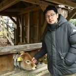 【若手経営者に聞く】森林を活用し放牧　未利用資源に新たな価値　森林ノ牧…