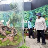 60種類のコケ集めて企画展　とちぎ花センター　コケの“調査隊”が生態解説