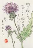 読者登壇