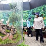 60種類のコケ集めて企画展　とちぎ花センター　コケの“調査隊”が生態解説