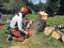 里山整備でクマ防ぐ