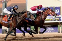 フォーエバーヤング優勝