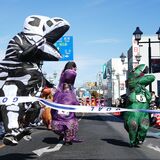 栃木で「ティラノサウルスレース」　短い手足で全力疾走、80人参加