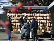 天満宮に合格絵馬ずらり　芳賀
