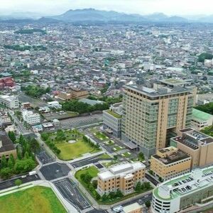 強風の影響か、５市町で農業被害　倒木による通行止め29件