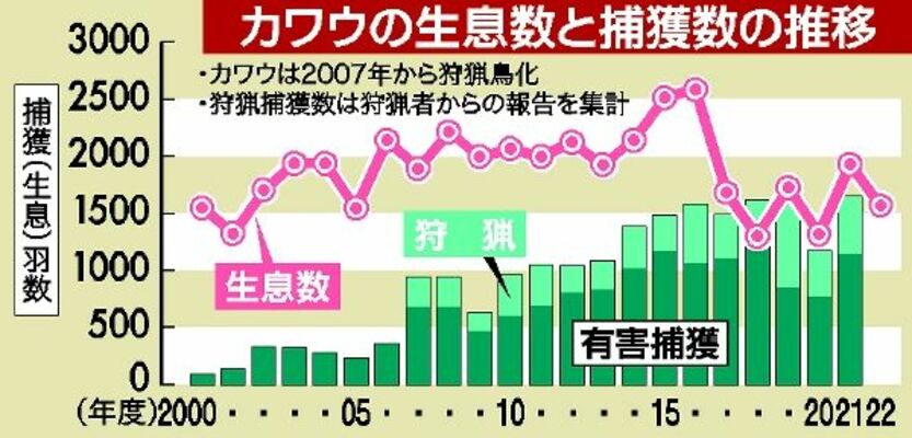 カワウの生息数と捕獲数の推移