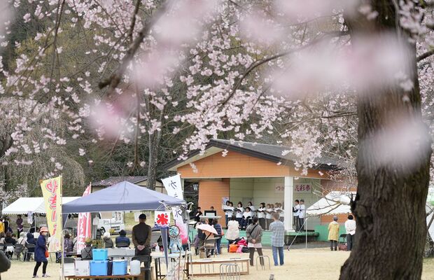 桜が咲く中、ステージイベントなどが行われた花彩祭