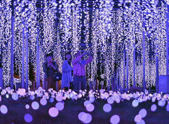 大藤を模したイルミネーションを楽しむ来場者＝18日午後６時30分、足利市迫間町