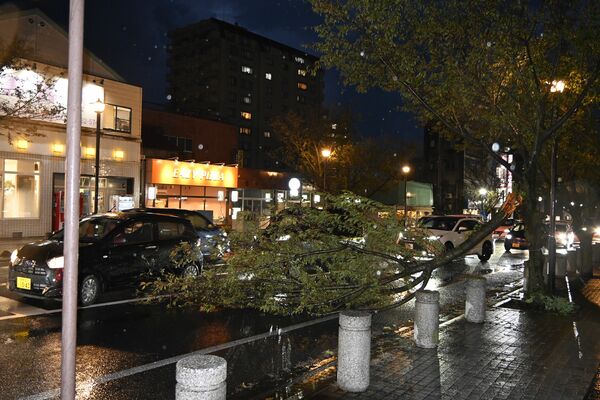 街路樹の枝が折れ左折車線がふさがれた県道＝３日午後６時半、小山市城山町２丁目