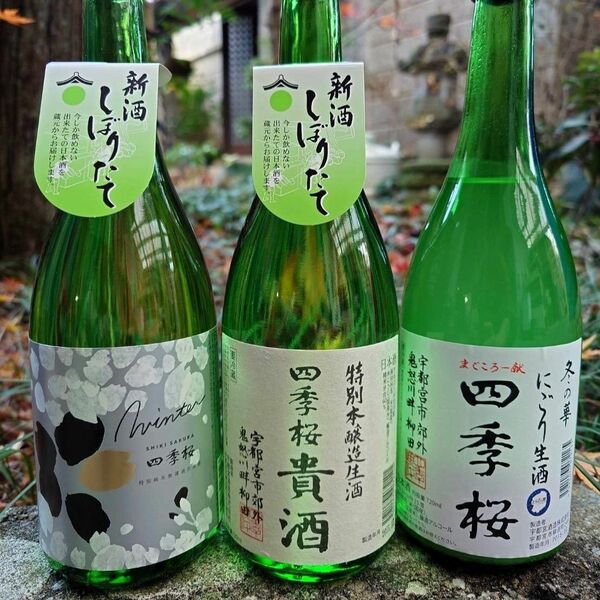 四季桜」新酒3種を発売 宇都宮酒造｜下野新聞デジタルニュース