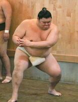 大の里「状態は悪くない」