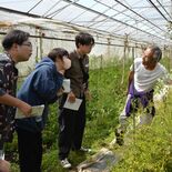 農業経営、収益化を学ぶ　明大生９人農園で実習