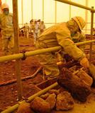 手の震え、頭痛…家族４人がなぜか体調不良に、原因は「おいしい地下水」に混入していた「ある毒」