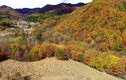 茅ボッチの里山も錦秋