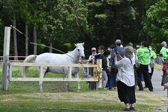 【夕刊】御料牧場で皇室ゆかりの馬を見学