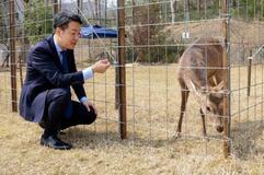 大阪で保護のシカ、人が好きかも