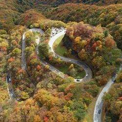 紅葉見頃の日光、3連休は年間最長の渋滞? いろは坂、世界遺産「二社一寺」 迂回路やおすすめの時間帯は…