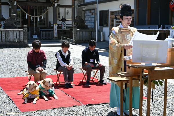 今泉八坂神社で行われた御朱印の頒布報告祭