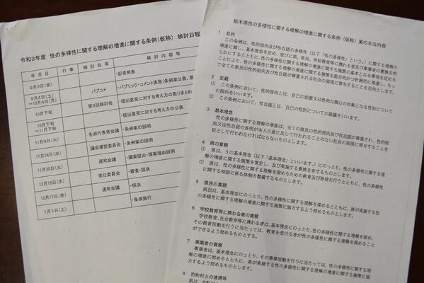 栃木県議有志が示した条例案と検討日程。当初は今年１月の条例施行を想定していた