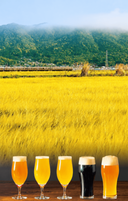 大麦産地に芽吹く醸造文化県内クラフトビール巡り