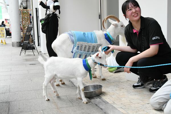 撮影の合間に休憩するさとる(手前)とウェーブ