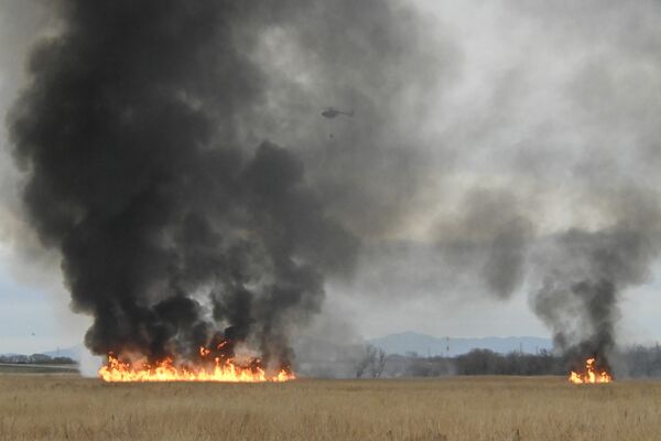 渡良瀬遊水地で発生したヨシ原の火災＝27日午後４時45分、栃木市藤岡町内野