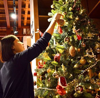 クリスマスツリー