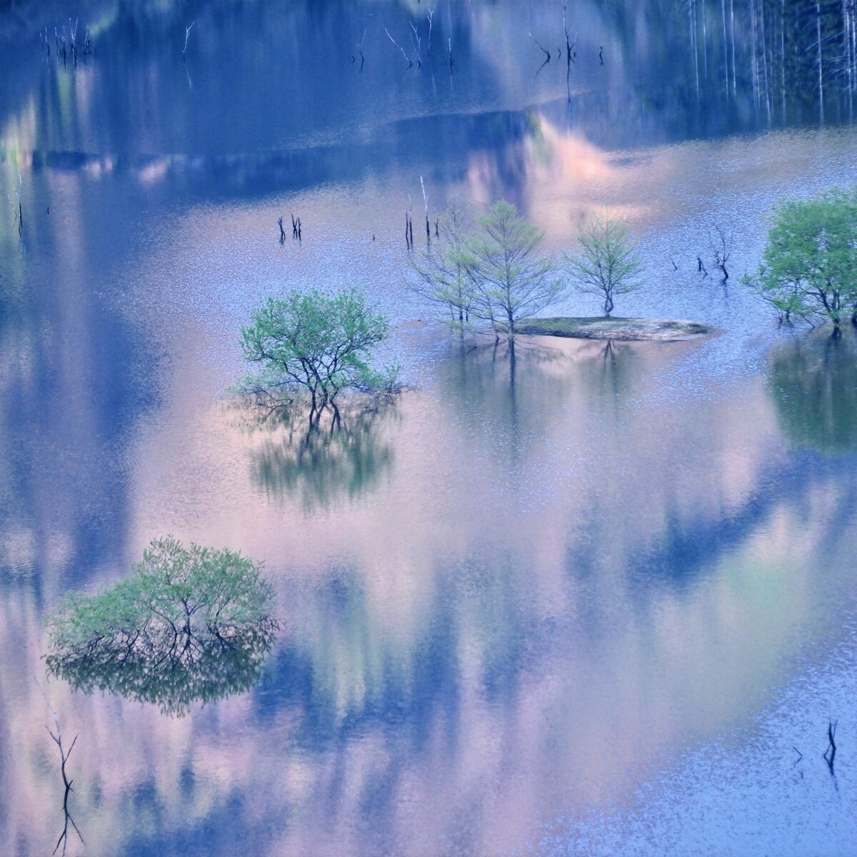 img_533240273ab8a01b0df4a1172a