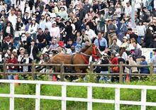 相馬野馬追、馬と接触し３人搬送