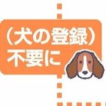 栃木県内初、マイクロチップ装着犬の登録手続き不要に　鹿沼市で新年度から…